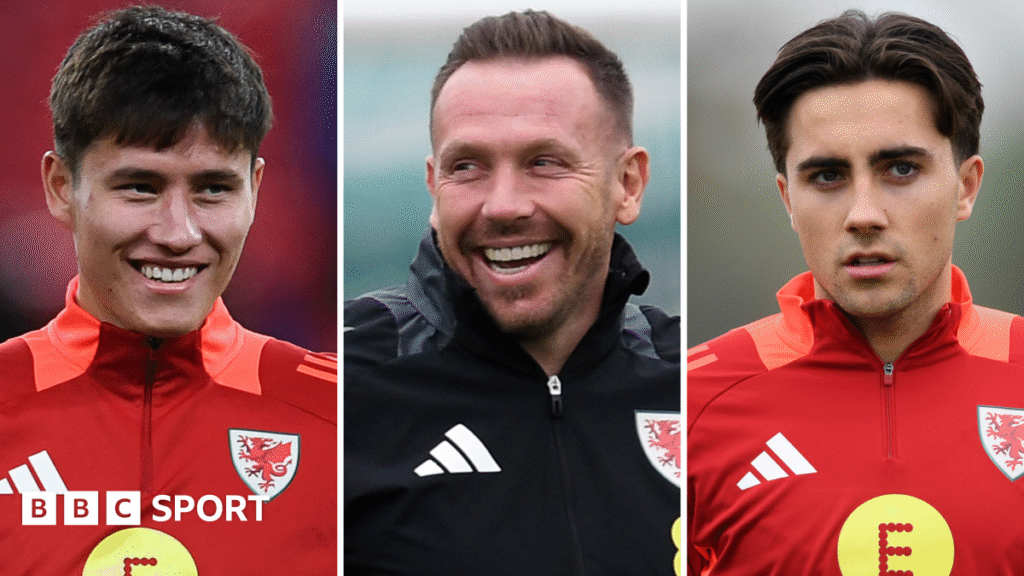 World Cup qualifying: Cardiff City’s youth and style a ‘dream’ for Wales boss Craig Bellamy